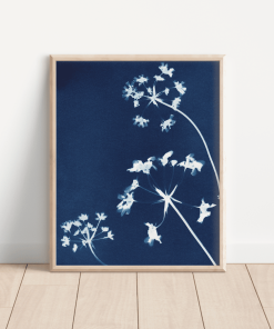 Delicate Breeze Fine Art Print — Far Mountain Studio