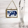 Chamomile Spray Framed Mini — Far Mountain Studio