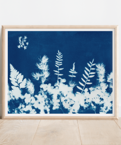 Fields of Flowers Fine Art Print — Far Mountain Studio