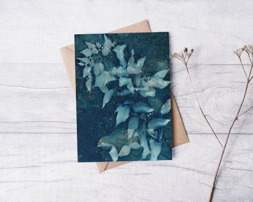 Summer Impressions Greeting Card — Far Mountain Studio