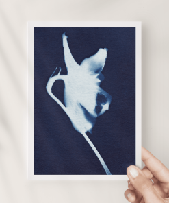 Single Delphinium Fine Art Print 5x7 — Far Mountain Studio