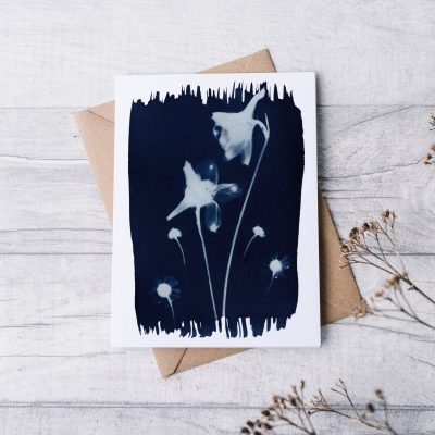 Chamomile and Delphinium Greeting Card — Far Mountain Studio