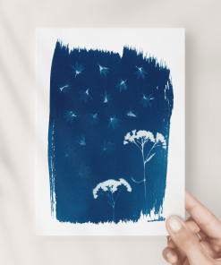 Rain on the Flowers Fine Art Print 5x7 — Far Mountain Studio